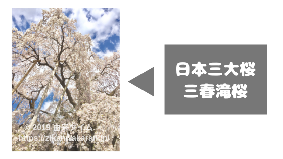 桜の語源 由来 実は名前に適さない 由来系ライターが解説 由来タイム